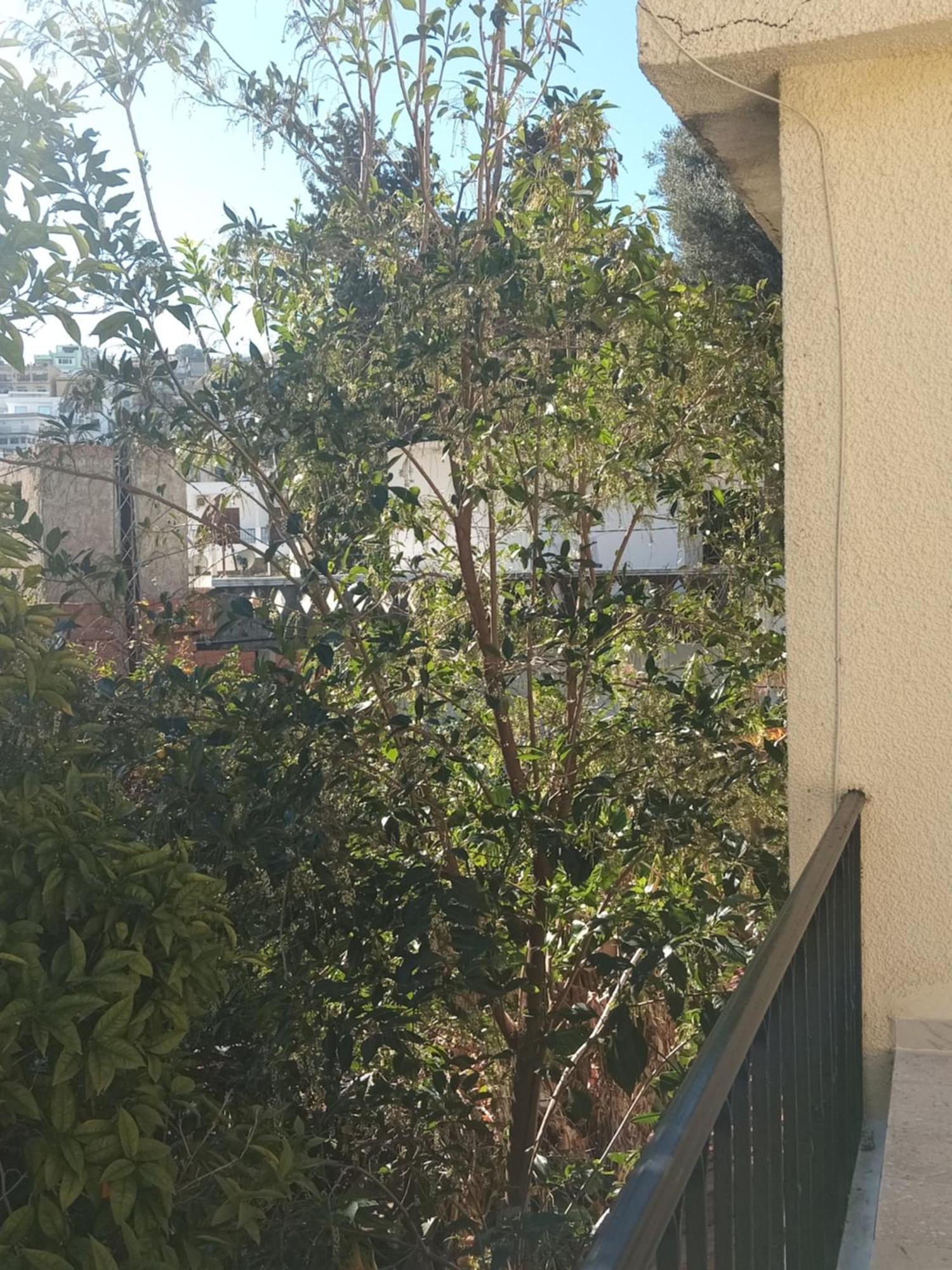 Maison De Vacances タバルカ エクステリア 写真